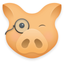 Hogwasher icon