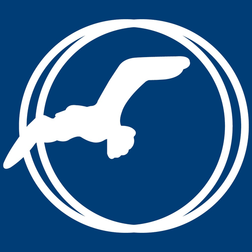 Ferry Beach app icon