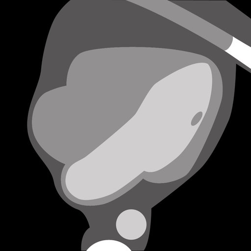 Cardiac CT Appropriate Use Criteria app icon