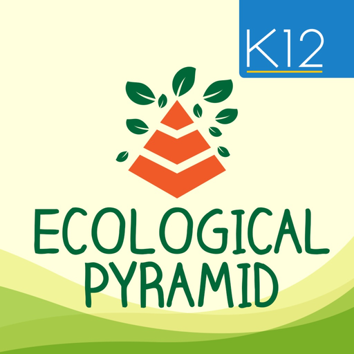 Ecological Pyramid app icon