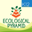 Ecological Pyramid icon