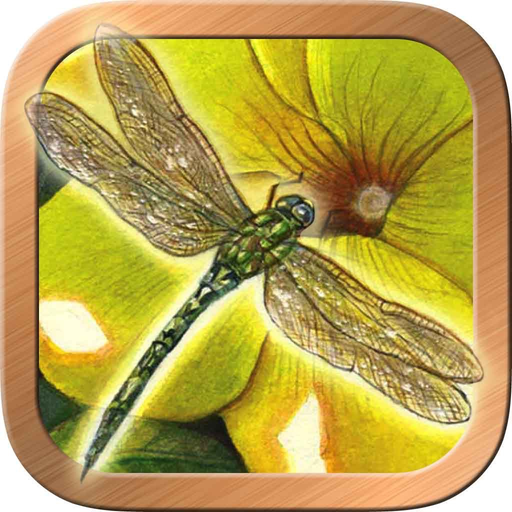 Animals Divine Tarot app icon