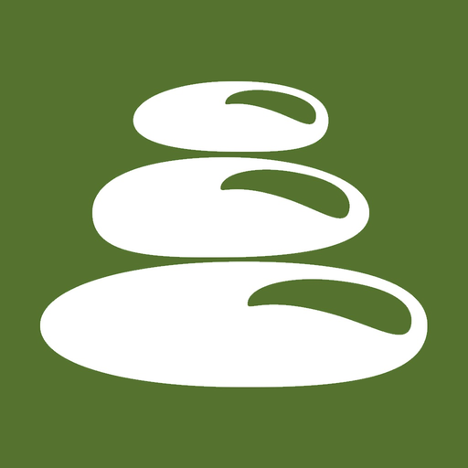 Zen Journey by Wild Divine app icon