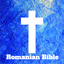 Romanian Bible icon