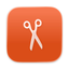 Eidetic icon