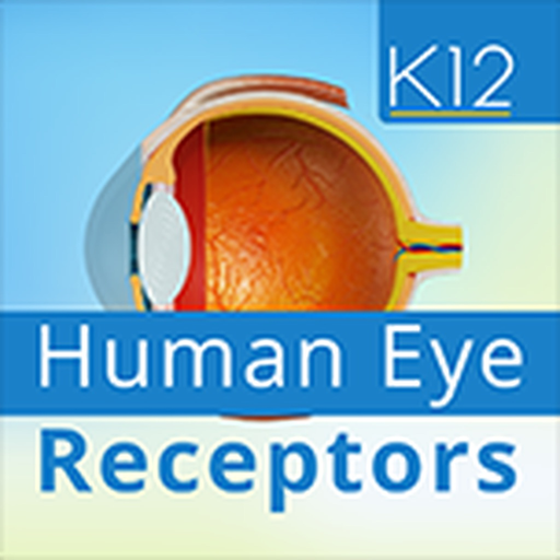 Human Eye Receptors app icon