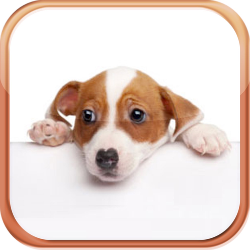 Dog Breeds Trivia Quizzes app icon
