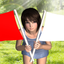 Raise Flags icon