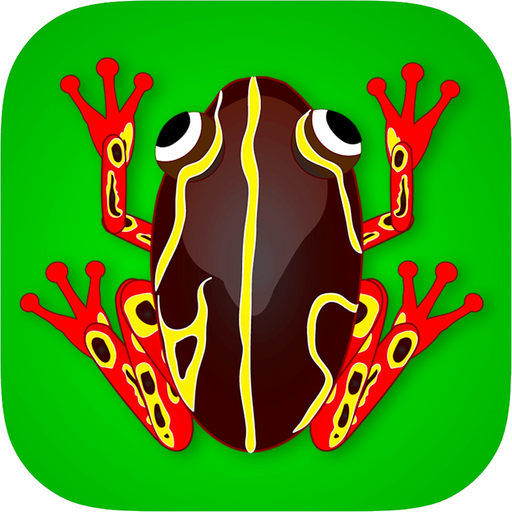 Lily Bounce app icon