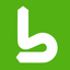 Berner Secure Mobile App icon