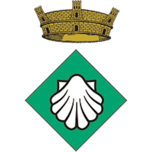 Sant Jaume Domenys app icon