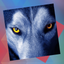 Déjà Vu - Zoo icon