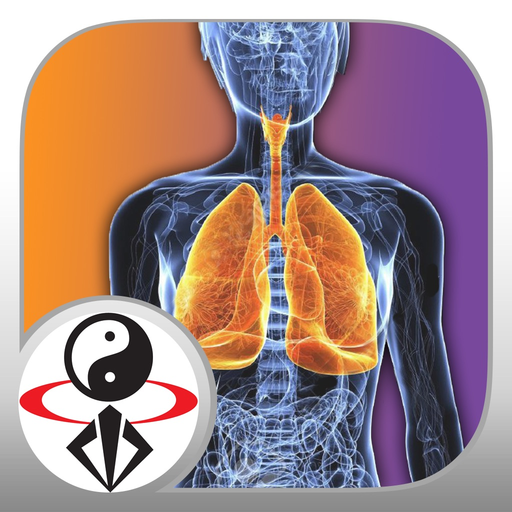 Qigong Breathing Video Lesson app icon
