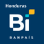 Banpaís icon