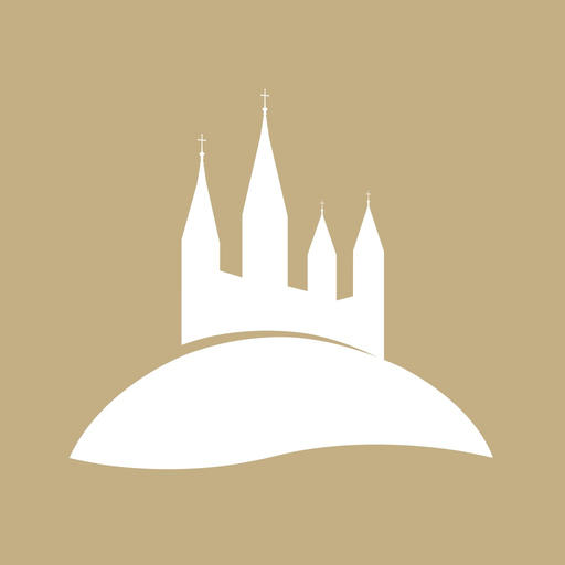 Domberg Bamberg app icon