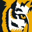 Tigers Community Credit Union icon