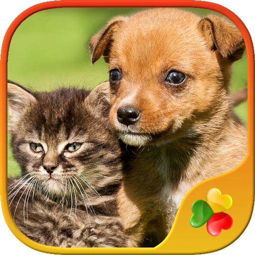 Cute Pets - Real Dogs and Cats Picture Puzzle Games for kids app icon