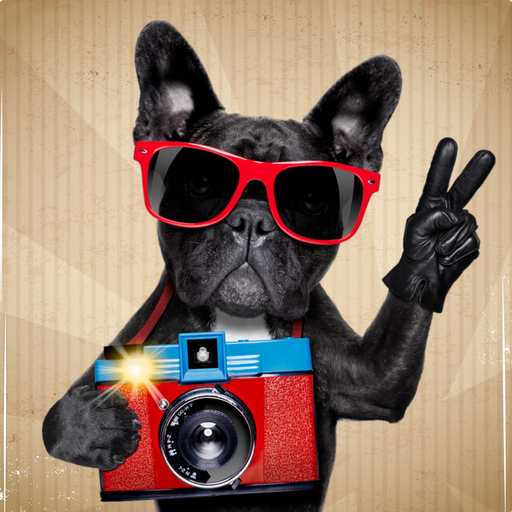 Instant Selfie HD app icon