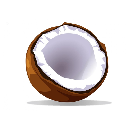 Coconut Budget app icon
