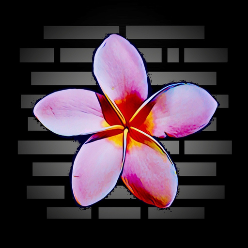 Photo Notes - detail your pics app icon