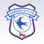 Cardiff City FC icon