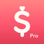 Minibudget Pro icon