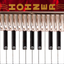 Hohner Piano Accordion icon