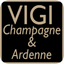 VigiCA icon