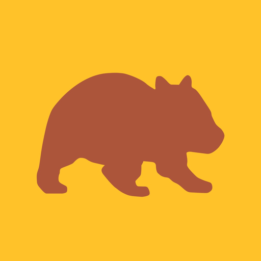 WomSAT app icon