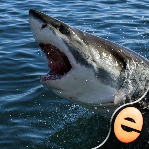 Shark Puzzles for Kids Free Jigsaw Wonder Collection app icon