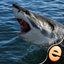Shark Puzzles for Kids Free Jigsaw Wonder Collection icon
