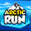 Arctic Run 3D icon