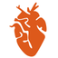 Risco Cardiovascular icon