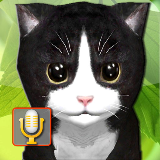 Talking Kittens, cats that can talk and repeat app icon