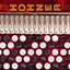 Hohner Chromatic Accordion icon