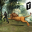 Angry Cecil: Revenge of Lion icon