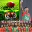Bangladeshi Tigers (BD Cricket) icon