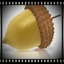 Acorns Gallery icon