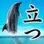 Can Dolphin Stand? icon