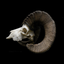 Big Game Hunting by HowtoHunt icon