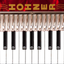 Hohner Piano Mini-Accordion icon