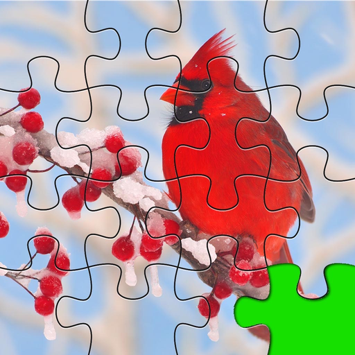 Birds Jigsaw Free - Collection Of Unique Puzzle Pics Of Falcons & Penguins app icon