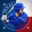 Texas Baseball icon