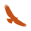 Raptor ID icon