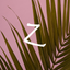 Zen - Peaceful Quotes icon