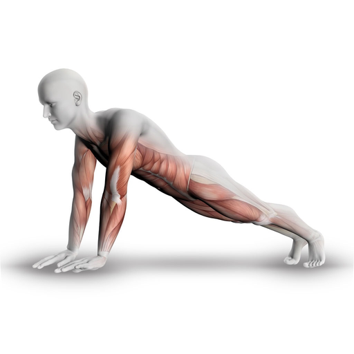 Plank - 30 Days of Challenge app icon