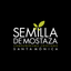 Semilla Santa Mónica icon