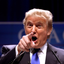 Trump Donald icon
