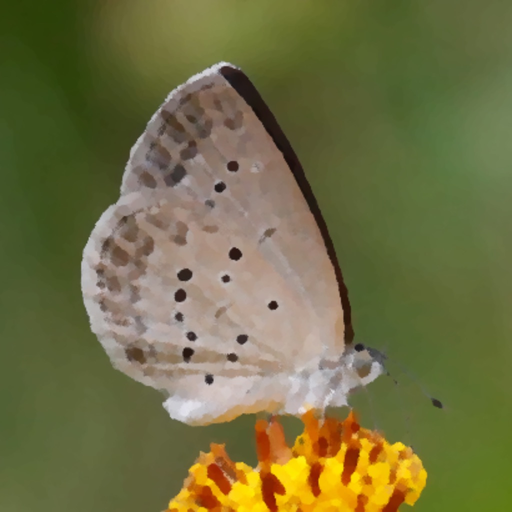 HK Butterfly Fans app icon
