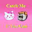 Catch Me if You Can?? icon